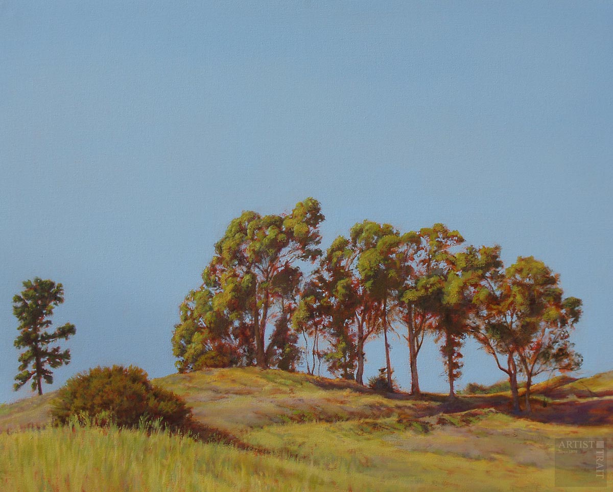 Approach to Johnson's Pasture by Jonathan Salt