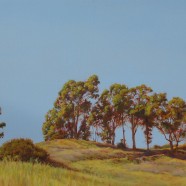 “Approach to Johnson’s Pasture” by Jonathan Salt