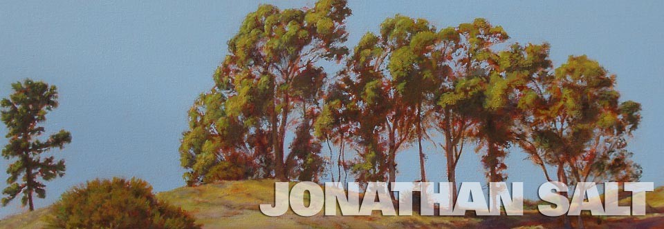 Jonathan SALT
